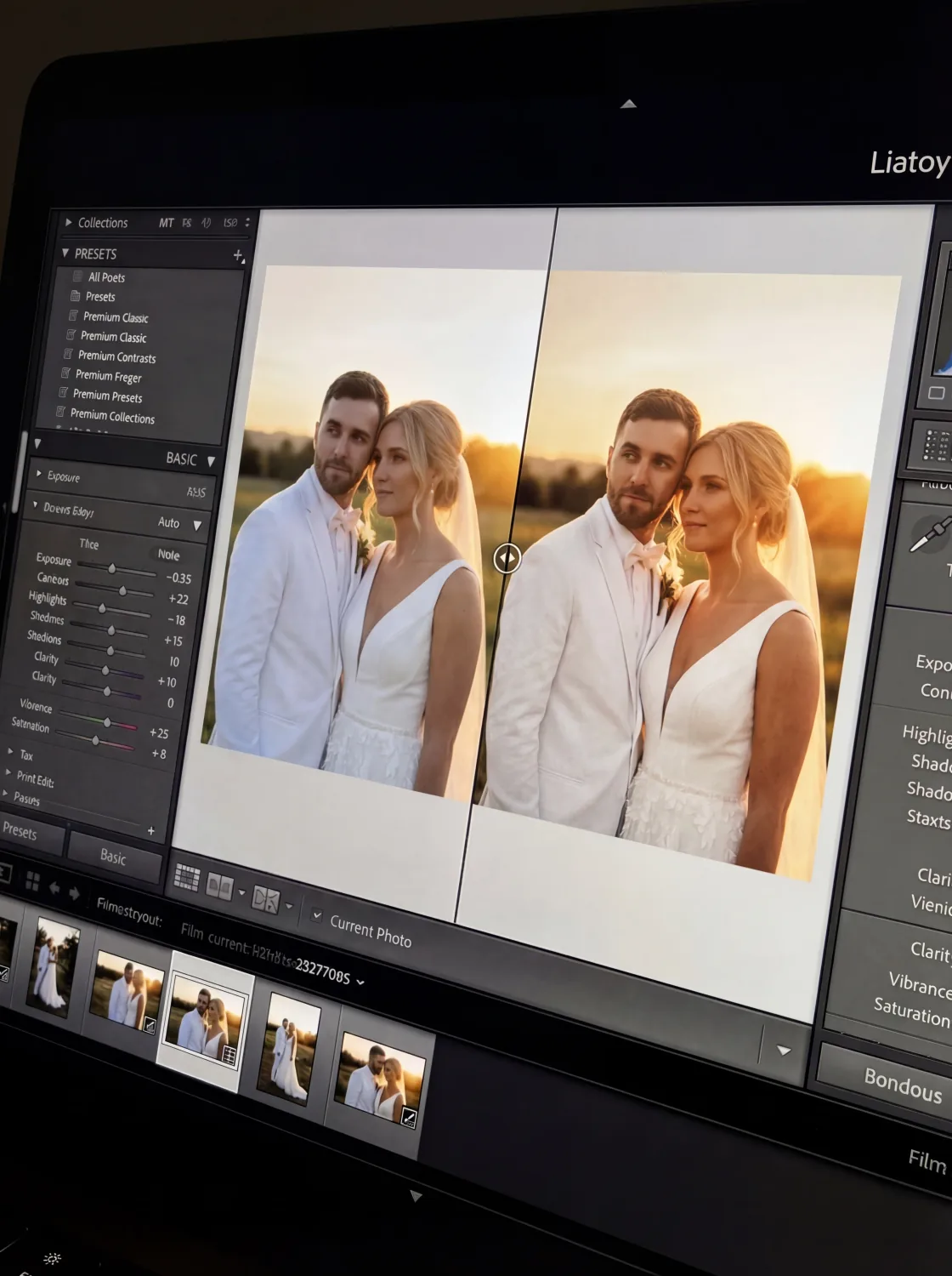 Profesionalna fotografija